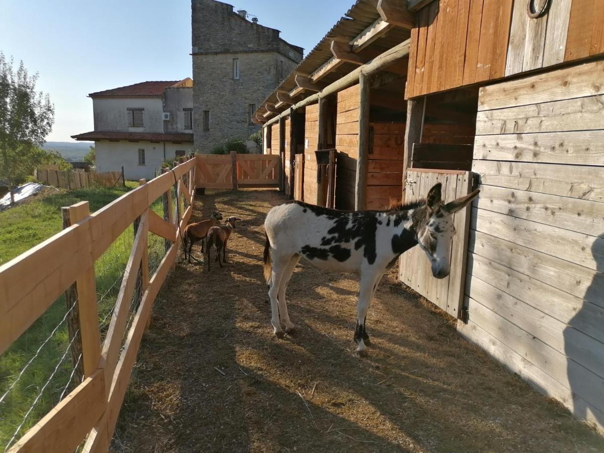 Villa Les Hauts Vallons Puylaroque Bagian luar foto